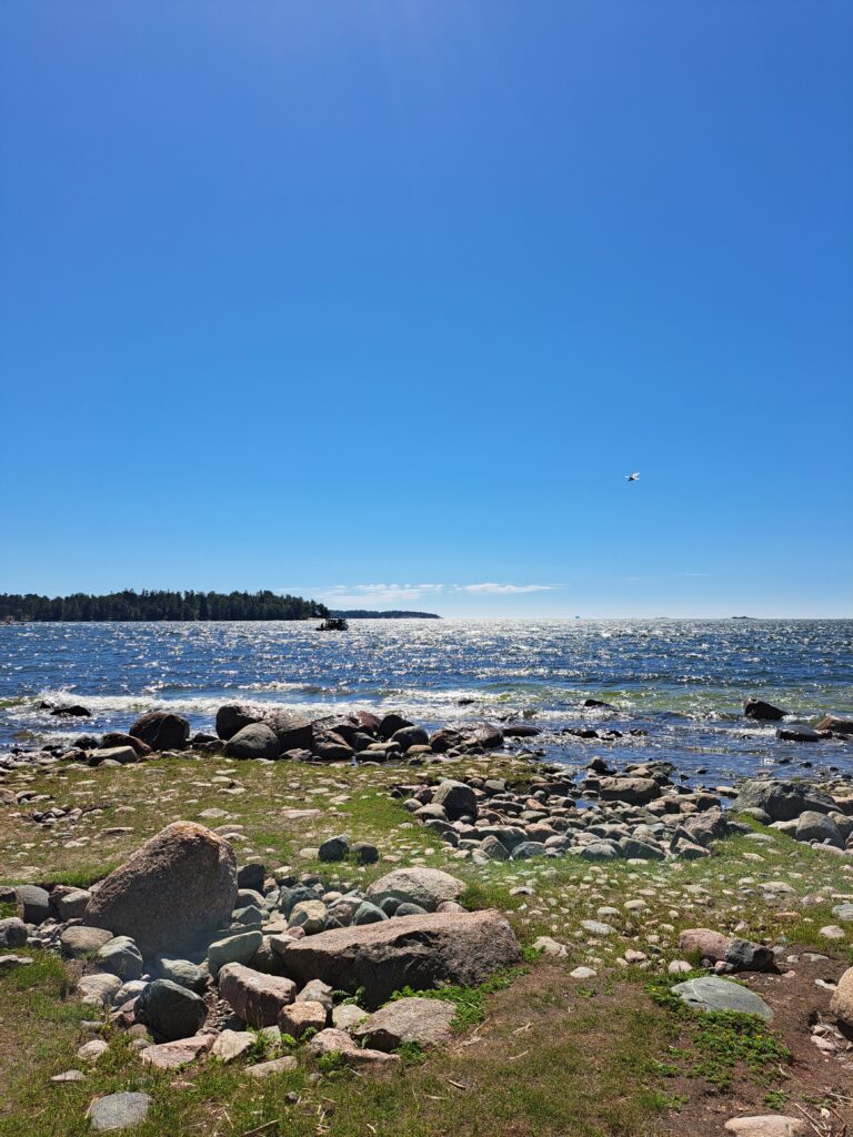 Meren ranta, jossa näkyy kiviä ja rantakasvillisuutta. Merellä kaukana näkyy vene. Taivas on sininen ja aurinko paistaa.